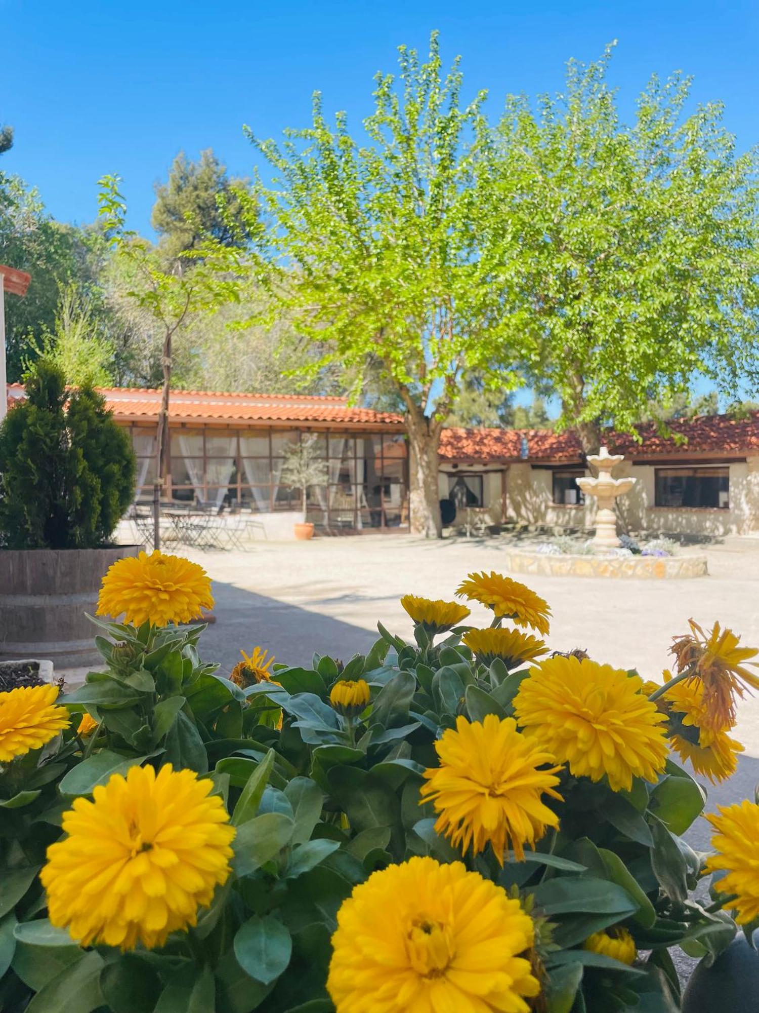 Casa Rural Majada Del Conde Ла-Гуардия Экстерьер фото
